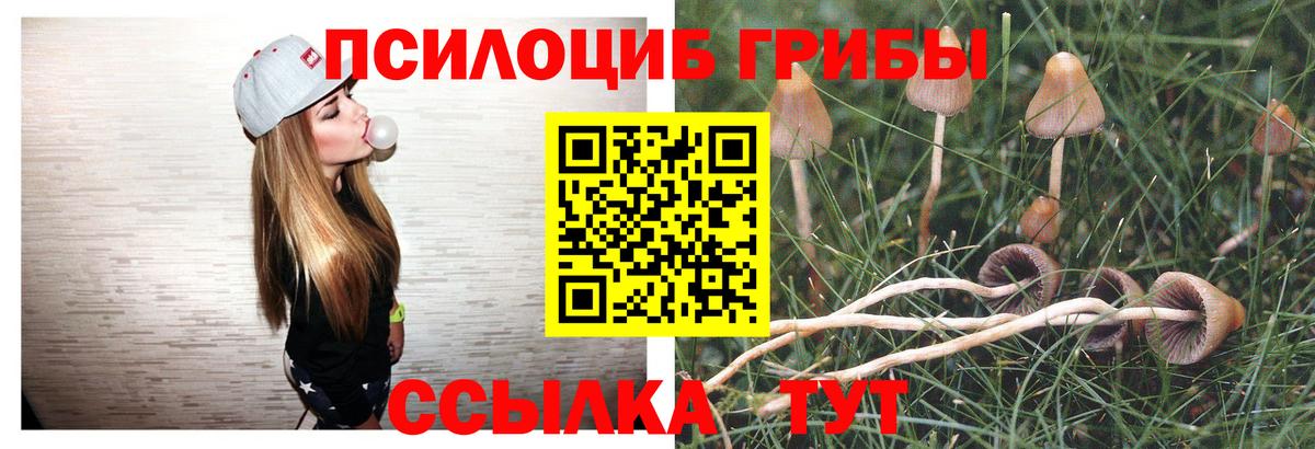 Псилоцибиновые грибы GOLDEN TEACHER Коряжма