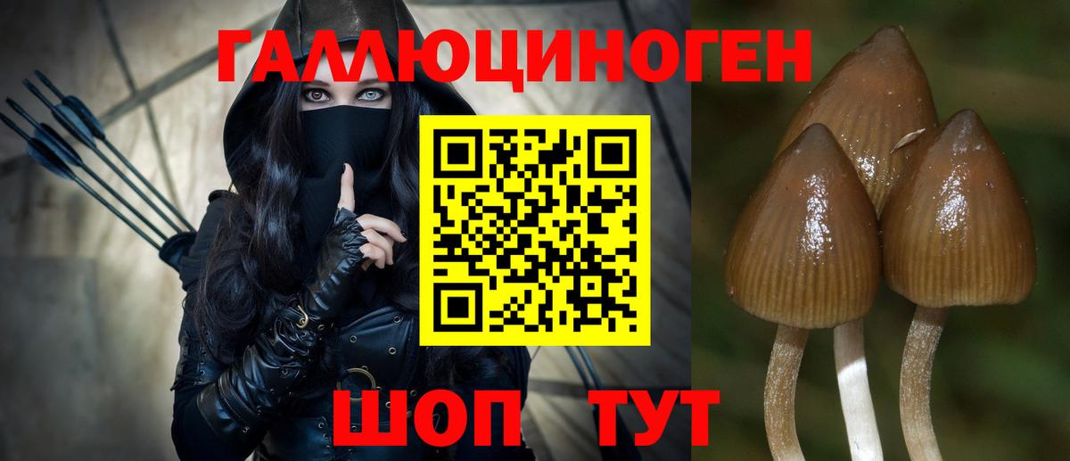 Псилоцибиновые грибы GOLDEN TEACHER  Вход с VPN  Псилоцибиновые грибы Magic Shrooms  Коряжма 