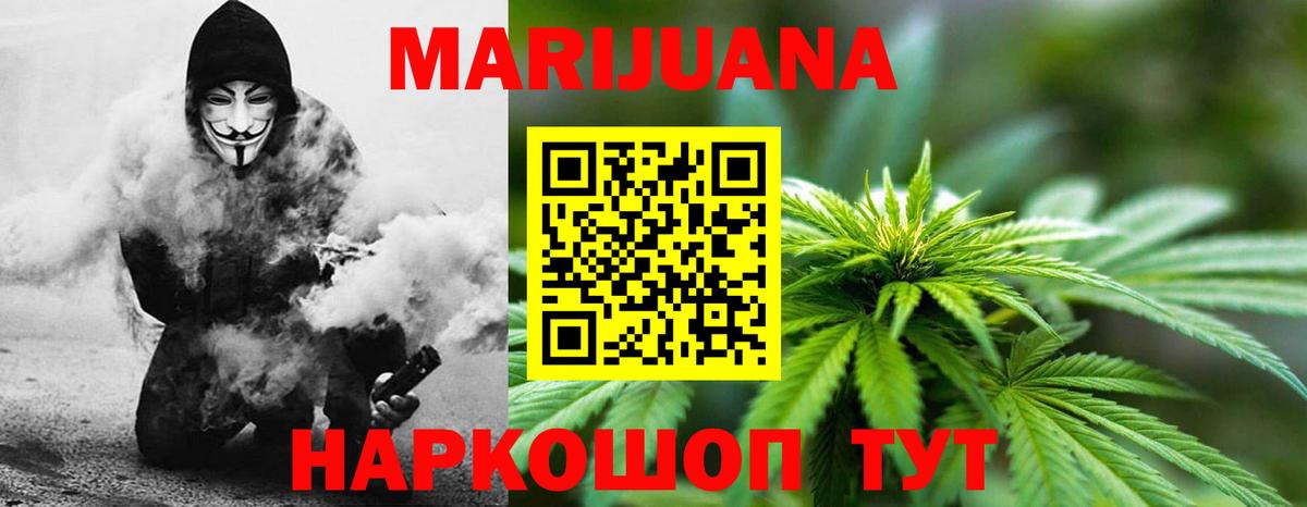 Бошки Шишки план Коряжма